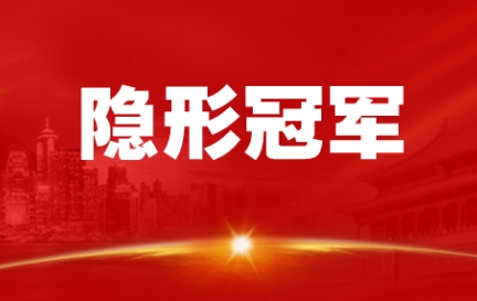 德國隱形冠軍的成長邏輯對儀表企業(yè)的啟示